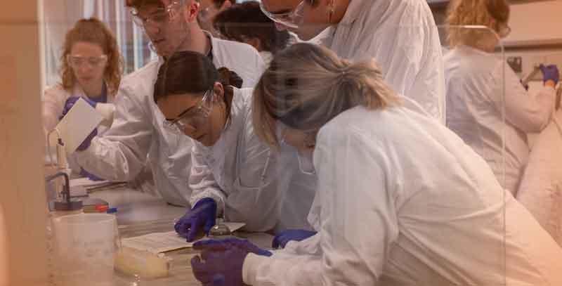 Cohort of student in a lab looking down at something on a table